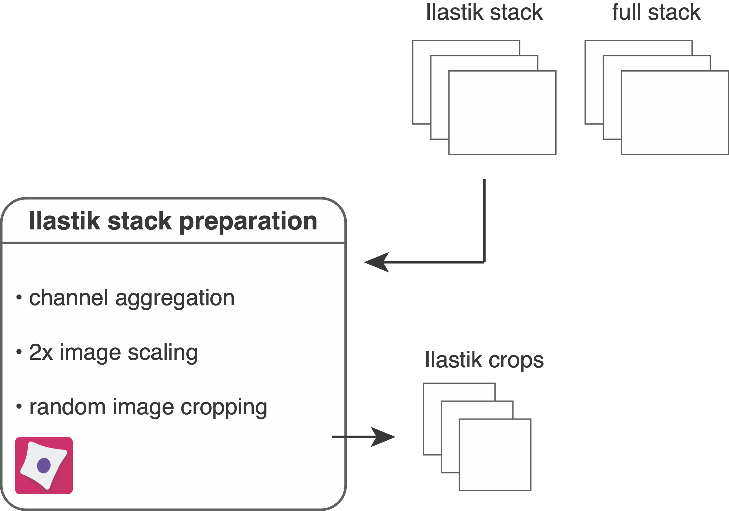 ilastik_1